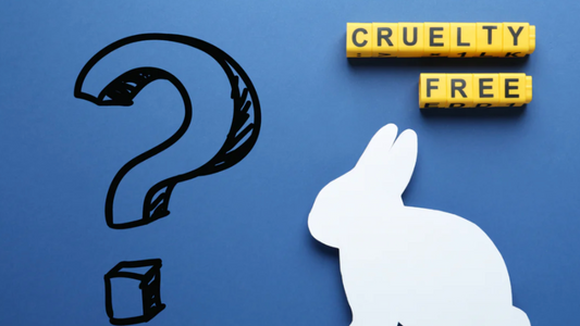 Blog on recent updates with animal testing on cosmetics in UK