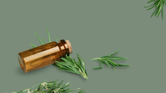 Rosemary oil for hair loss