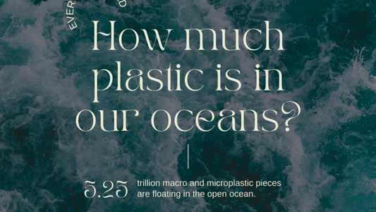 Plastic Pollution on Human Health