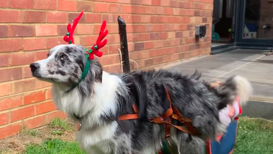 An'du Christmas Advert 2024