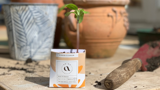 free seeds for growing season