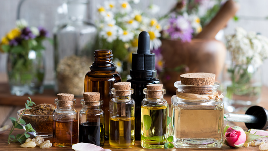 The Unsung Hero of Haircare: Why Lupin Seed Oil Outshines Argan, Avocado, and Jojoba Oils